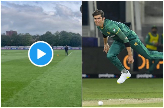 shaheen afridi