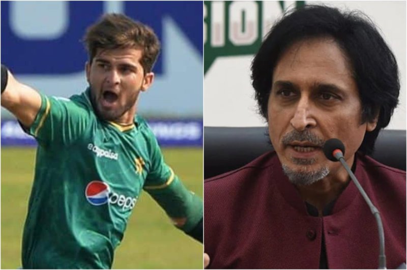 shaheen afridi ramiz raja