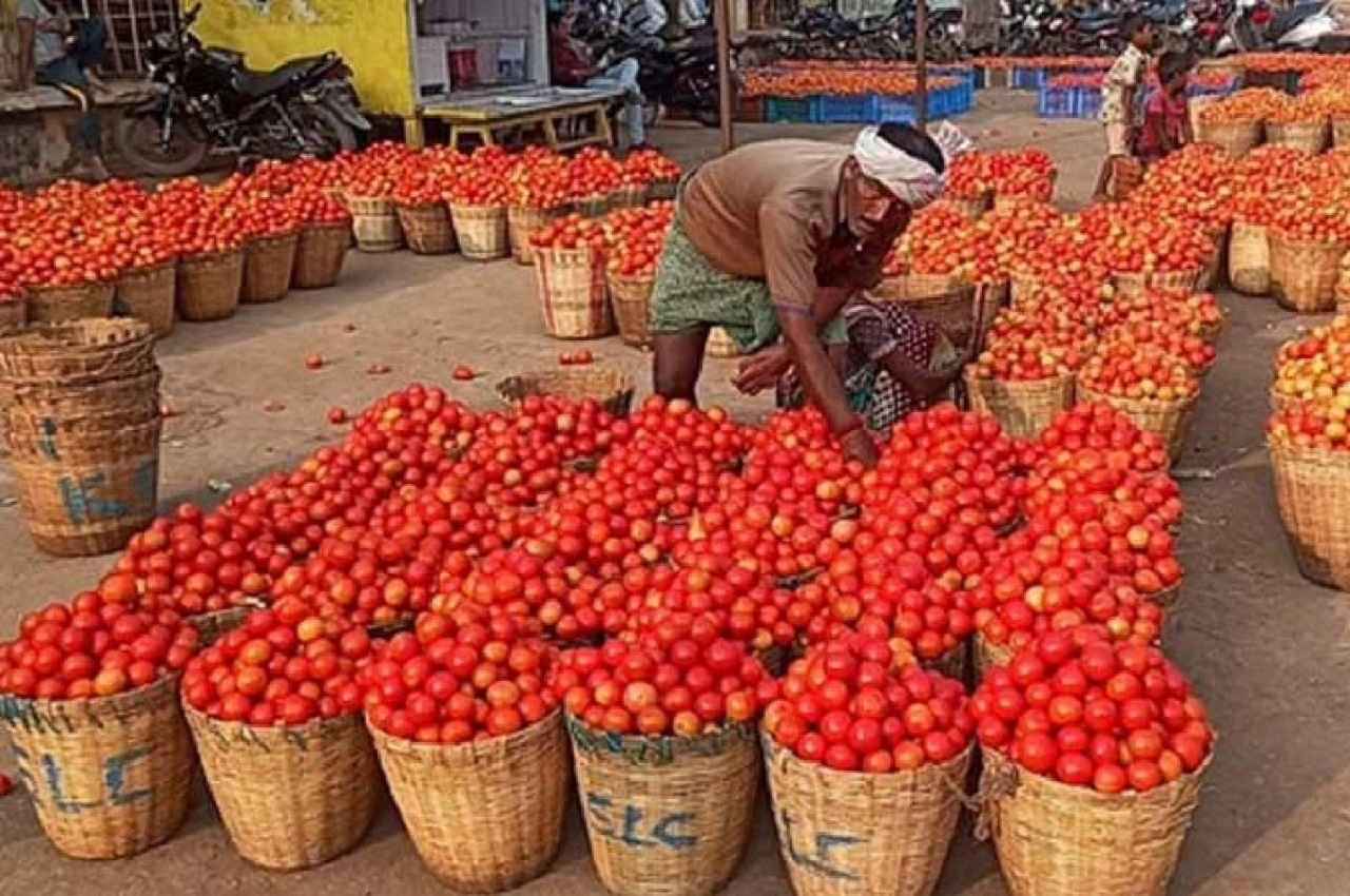 यूपी के इस शहर में टमाटर की कीमतों ने हिलाया बजट, जेब पर बढ़ गया बोझ