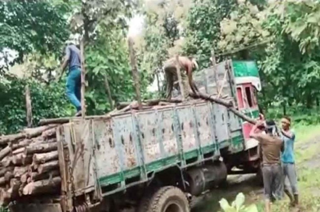 कूनो नेशनल पार्क