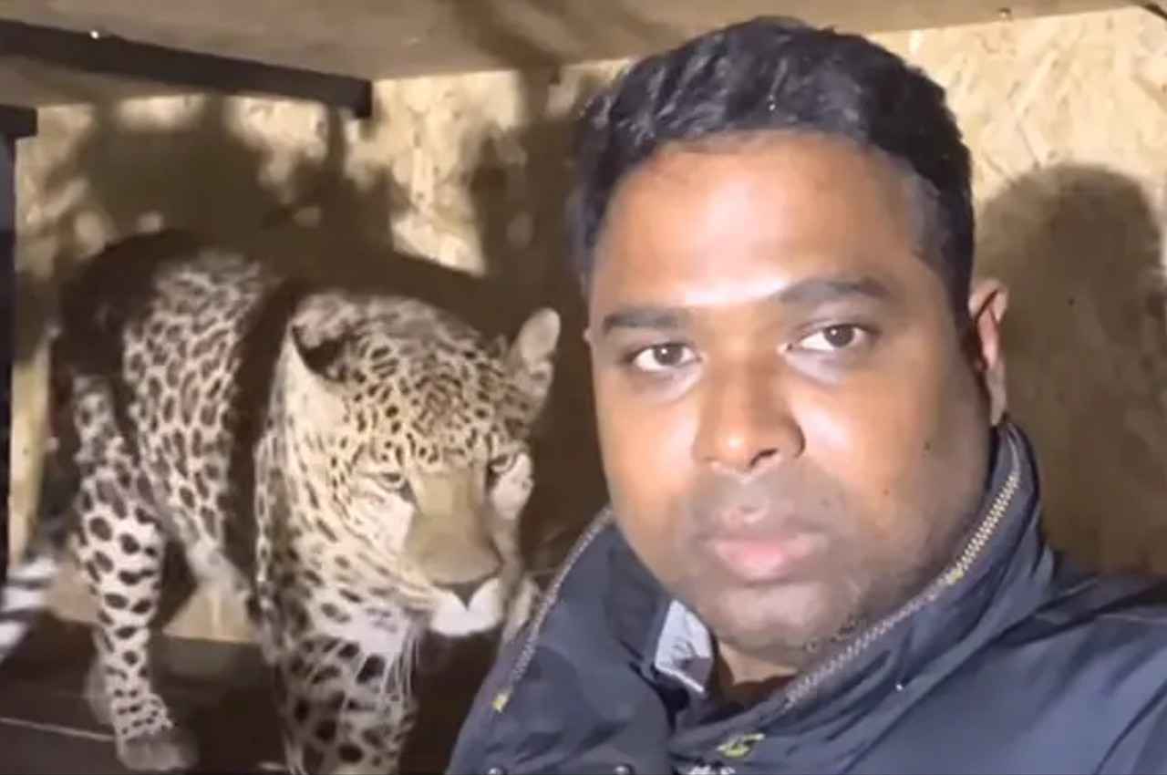 आंध्र प्रदेश के डॉक्टर ने यूक्रेन में पाला था जगुआर और पैंथर, अब भारत सरकार से की ये अपील