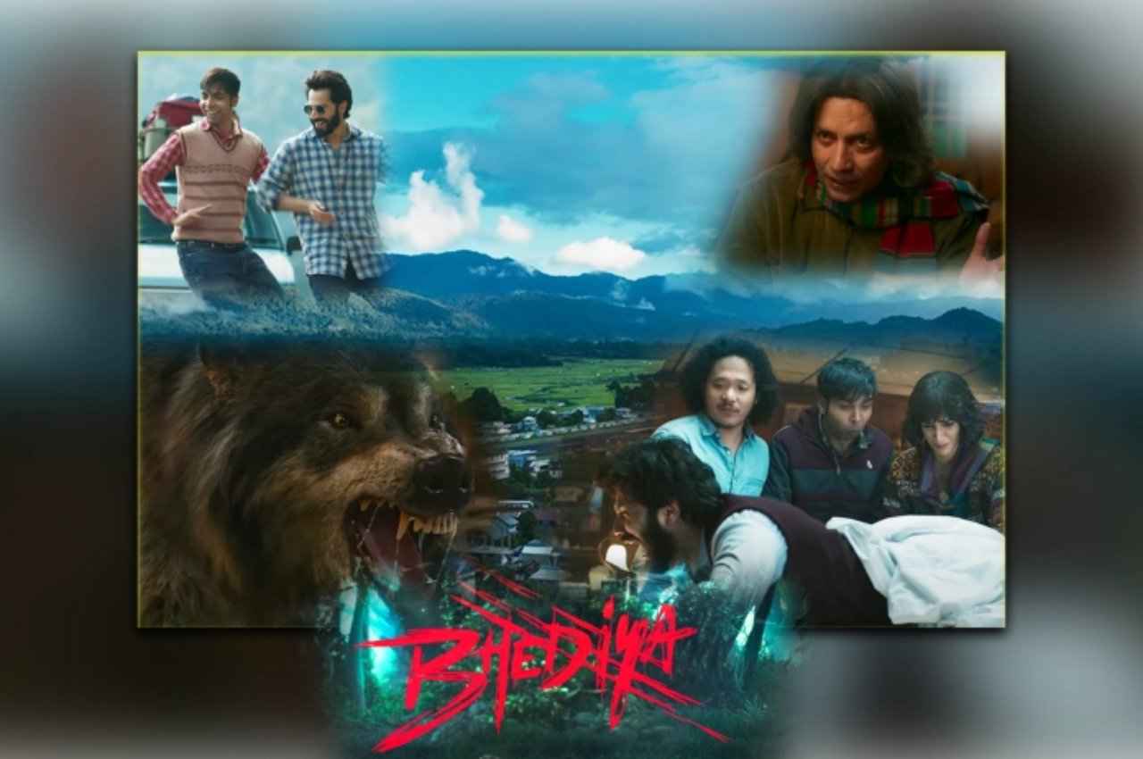 Bhediya Box Office Collection Day 12: बारहवें दिन भी बॉक्स ऑफिस कलेक्शन में आई गिरावट