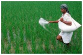 FERTILIZER rate may reduce in india