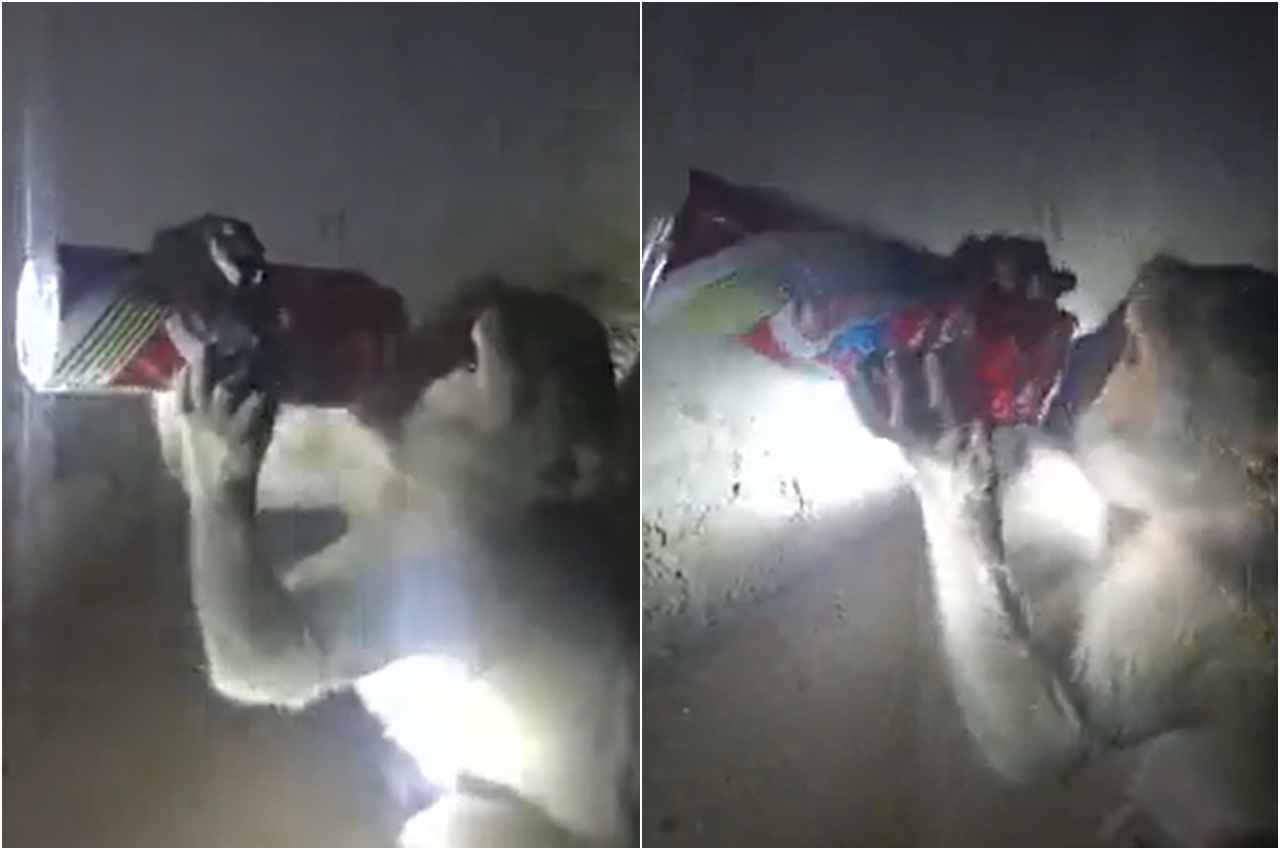 Viral Video: पानी समझकर बंदर गटक गया पूरी बीयर की केन, देखें फिर क्या हुआ?