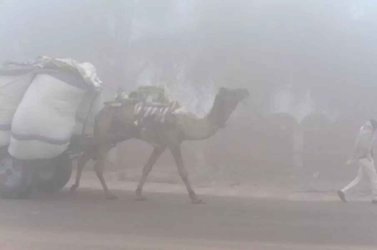 Rajasthan Weather update: तापमान में गिरावट का दौर जारी, पारा गिरने से बढ़ने लगी ठिठुरन