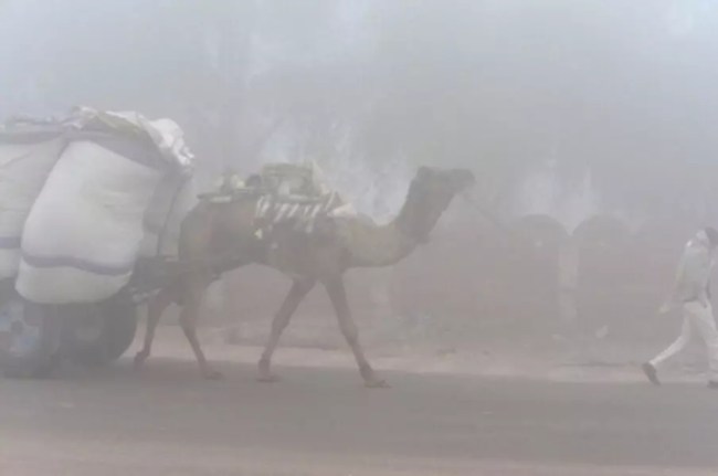 Rajasthan Winter Update