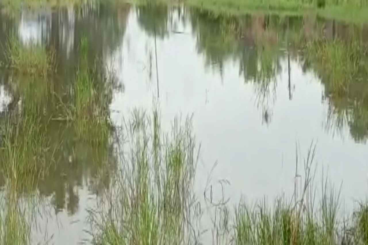 Sheopur heavy rainfall