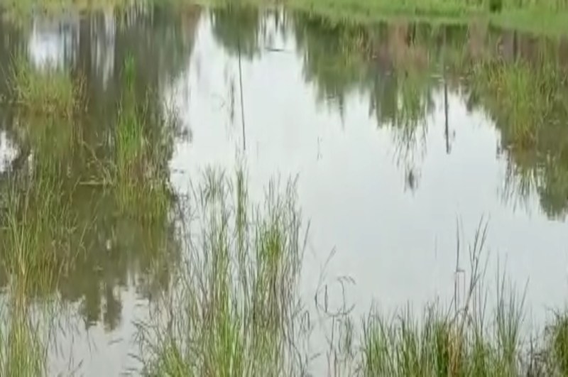 Sheopur heavy rainfall