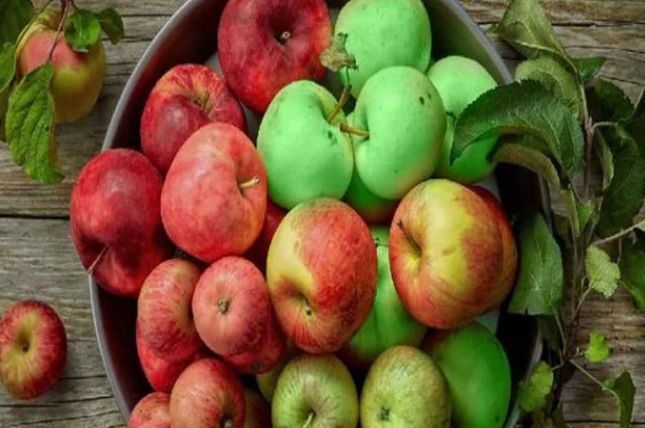 Apple Benefits:'सेब 1 फायदे अनेक' बस इस वक्त खाना शुरू करें यह जादुई फल, मिलेंगे 6 जबरदस्त लाभ