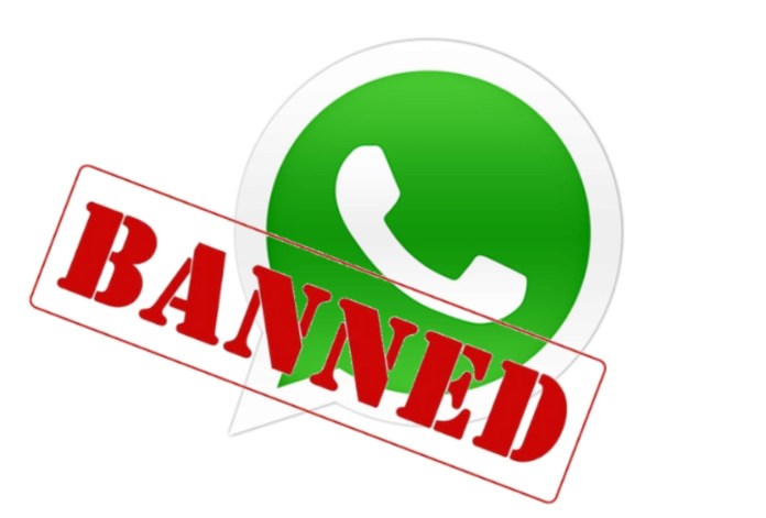 WhatsApp Account Ban, WhatsApp
