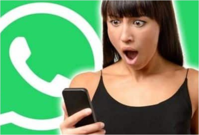 WhatsApp, WhatsApp Support Smartphone