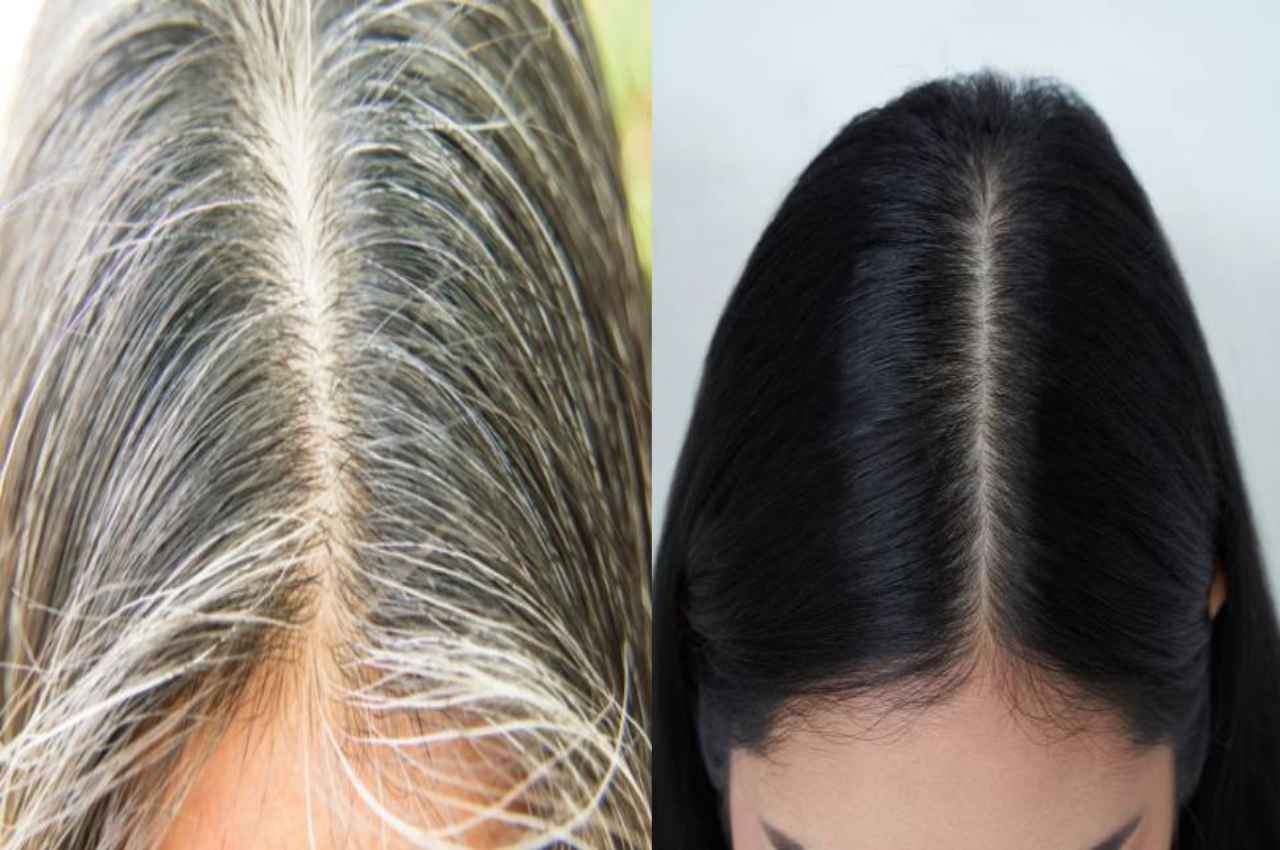 Hair Care Tips: एक हफ्ते में काले हो जाएंगे सफेद बाल, बस लगा लें ये एक चीज़