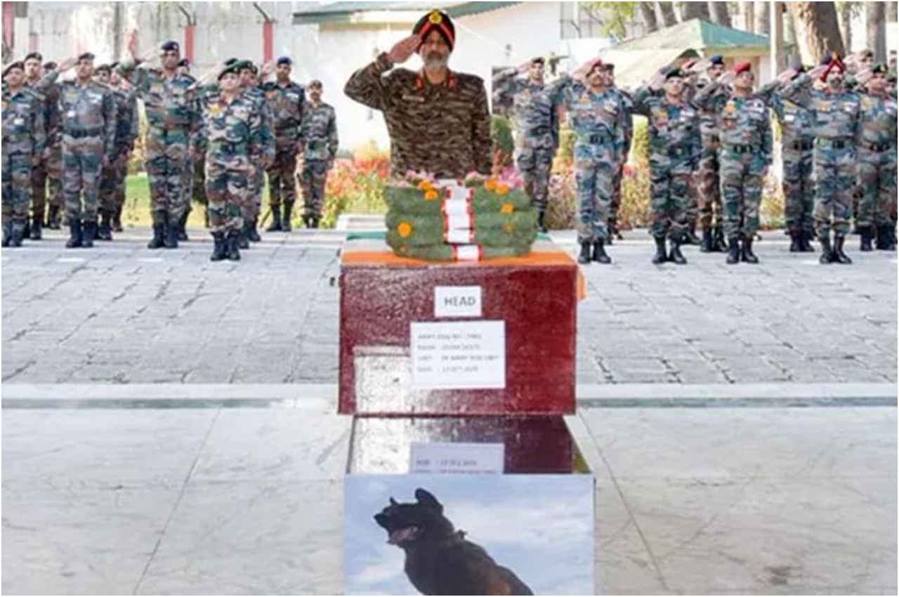 श्रीनगर में नम आंखों से जूम को शहीद जैसी सलामी; गोली लगने के बाद भी खूब लड़ा था आर्मी डॉग