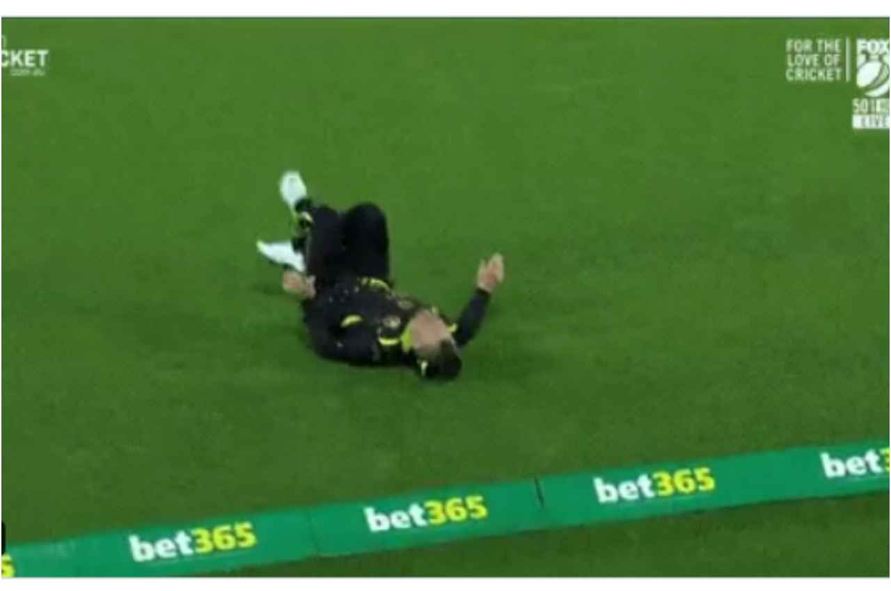 aus vs eng david warner aus vs eng david warner