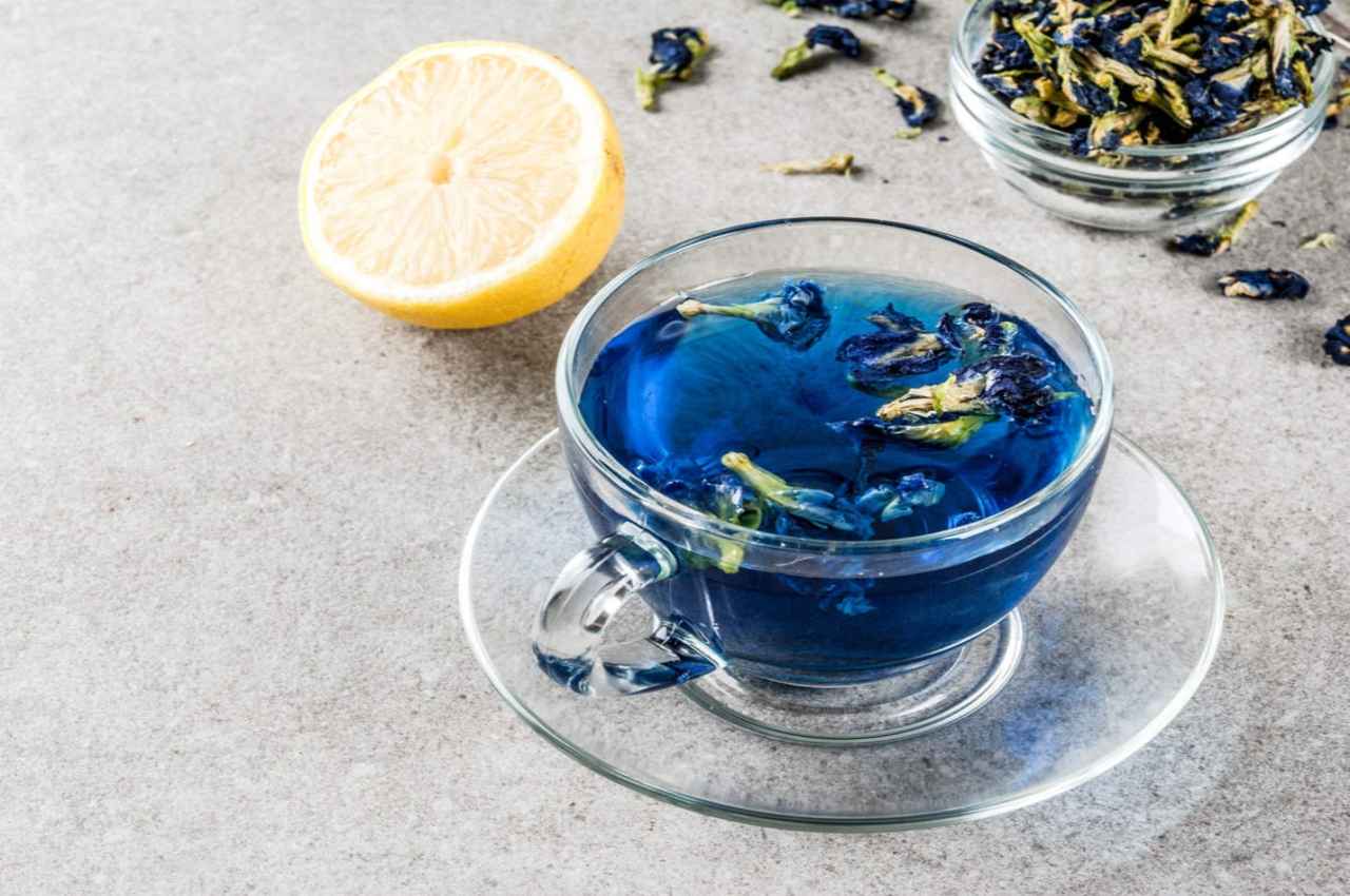 Blue Tea Health Benefits: डायबिटीज कंट्रोल के लिए रोजाना पीए ब्लू टी, मिलते हैं और भी कई जबरदस्त लाभ