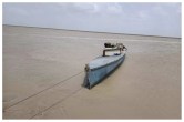 bsf-seized-pakistani-boat