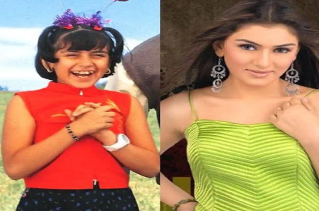 'कोई मिल गया' फेम हंसिका मोटवानी करने जा रही हैं शादी, 450 साल पुराने किले में होगा भव्य समारोह!