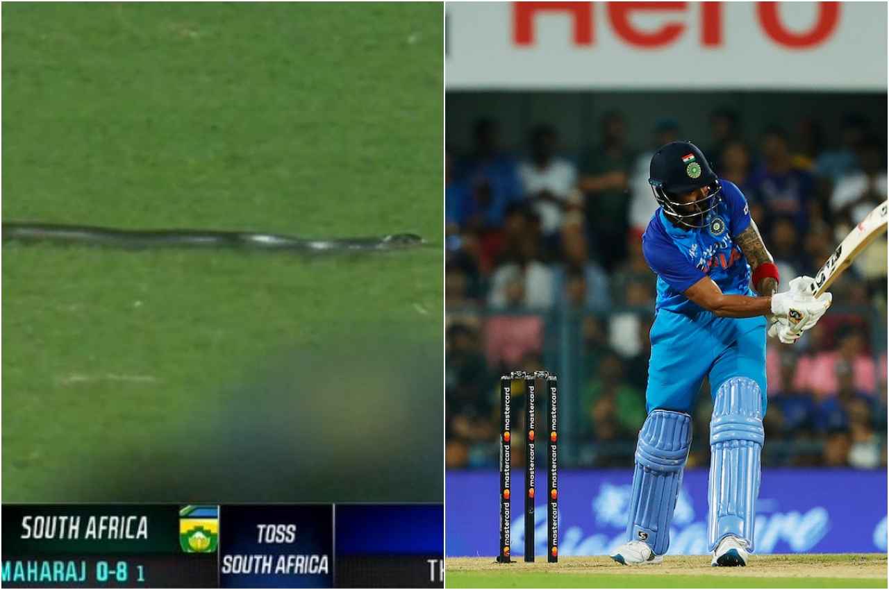IND vs SA: राहुल-रोहित ने बरसाए चौके-छक्के, स्टेडियम में सांप ने उठा लिया फन