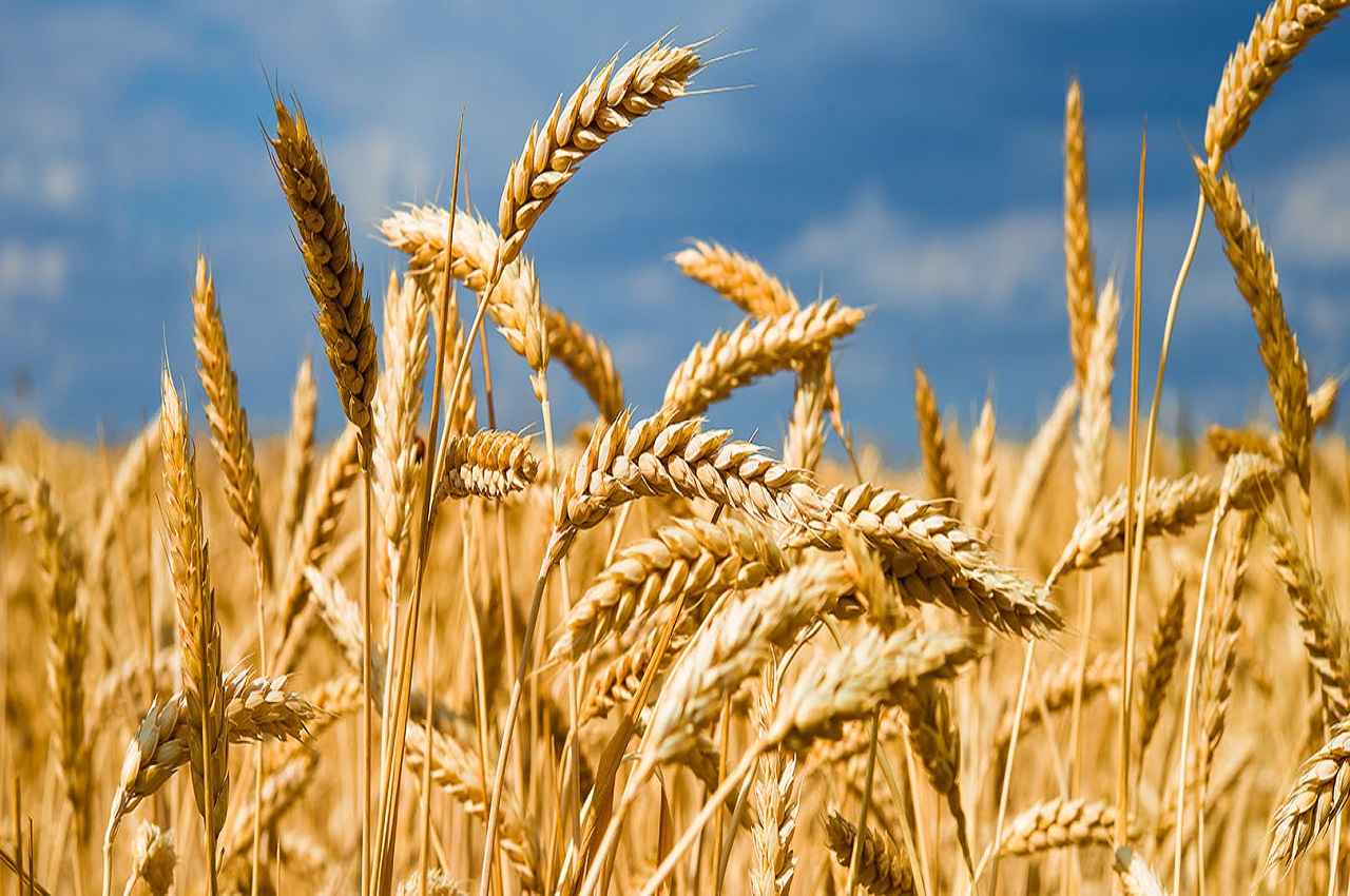 PM KISAN: किसानों के खातों में 12वीं किस्त भेजने से पहले सरकार आज ले सकती है ये बड़ा फैसला