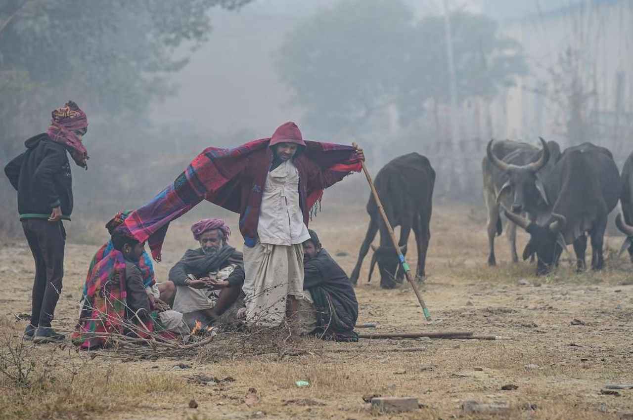 Rajasthan Winter Update