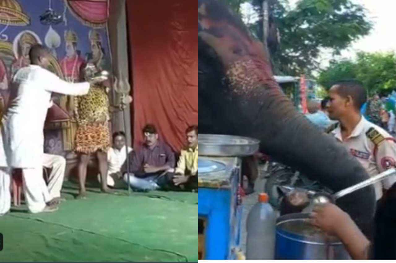 viral videos: शिव बने व्यक्ति की मौत, हाथी भी खाते हैं गोलगप्पे...लिफ्ट में मरीज के साथ अनहोनी