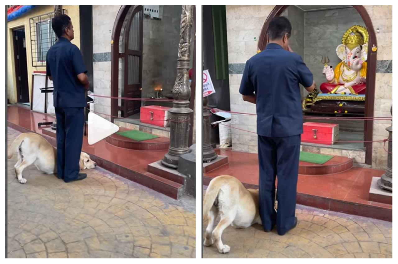 Viral Video: मालिक के साथ मंदिर के सामने से गुजर रहा था डॉगी, फिर उसने जो किया, देखें वीडियो 