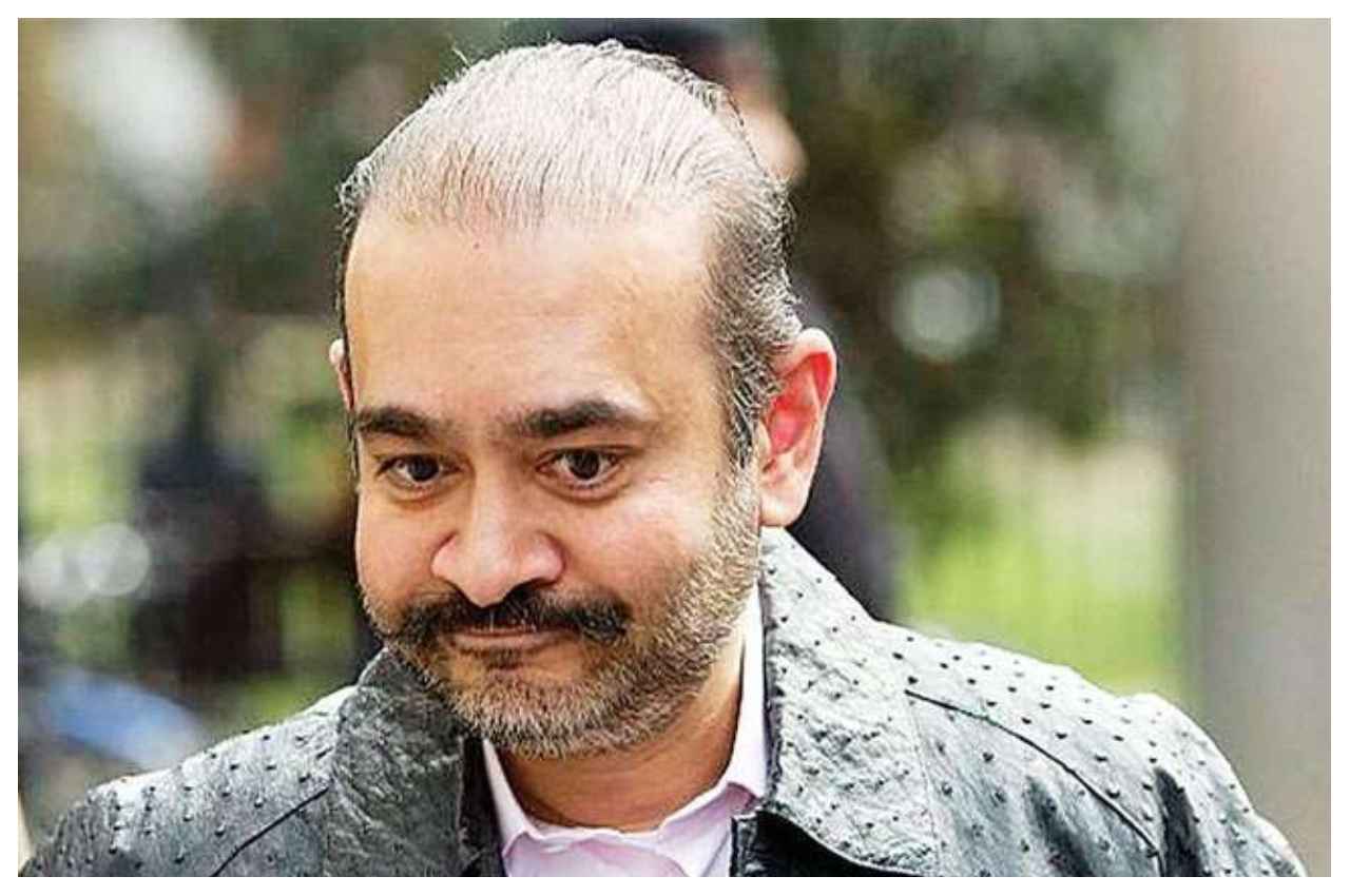 नीरव मोदी को ब्रिटेन HC से बड़ा झटका,  प्रत्यर्पण रोकने की अर्जी खारिज, अब लाए जाएंगे भारत ?
