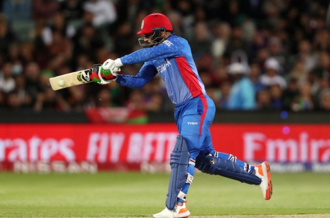 AUS vs AFG Rashid Khan