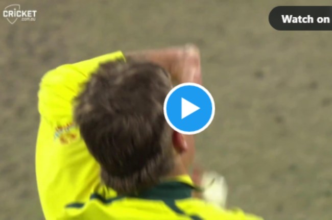 AUS vs ENG 2nd ODI adam zampa moeen ali