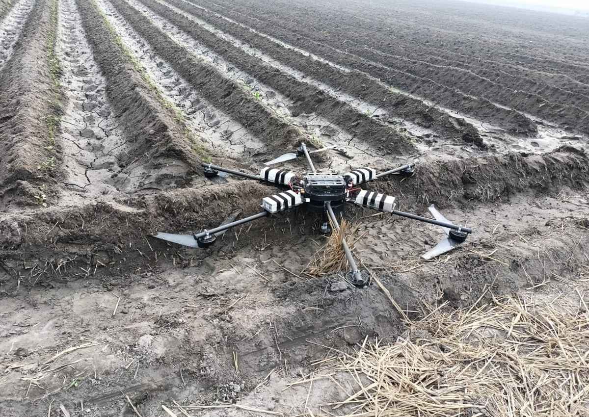 BSF