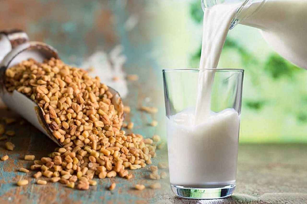 Fenugreek With Milk Fenugreek With Milk