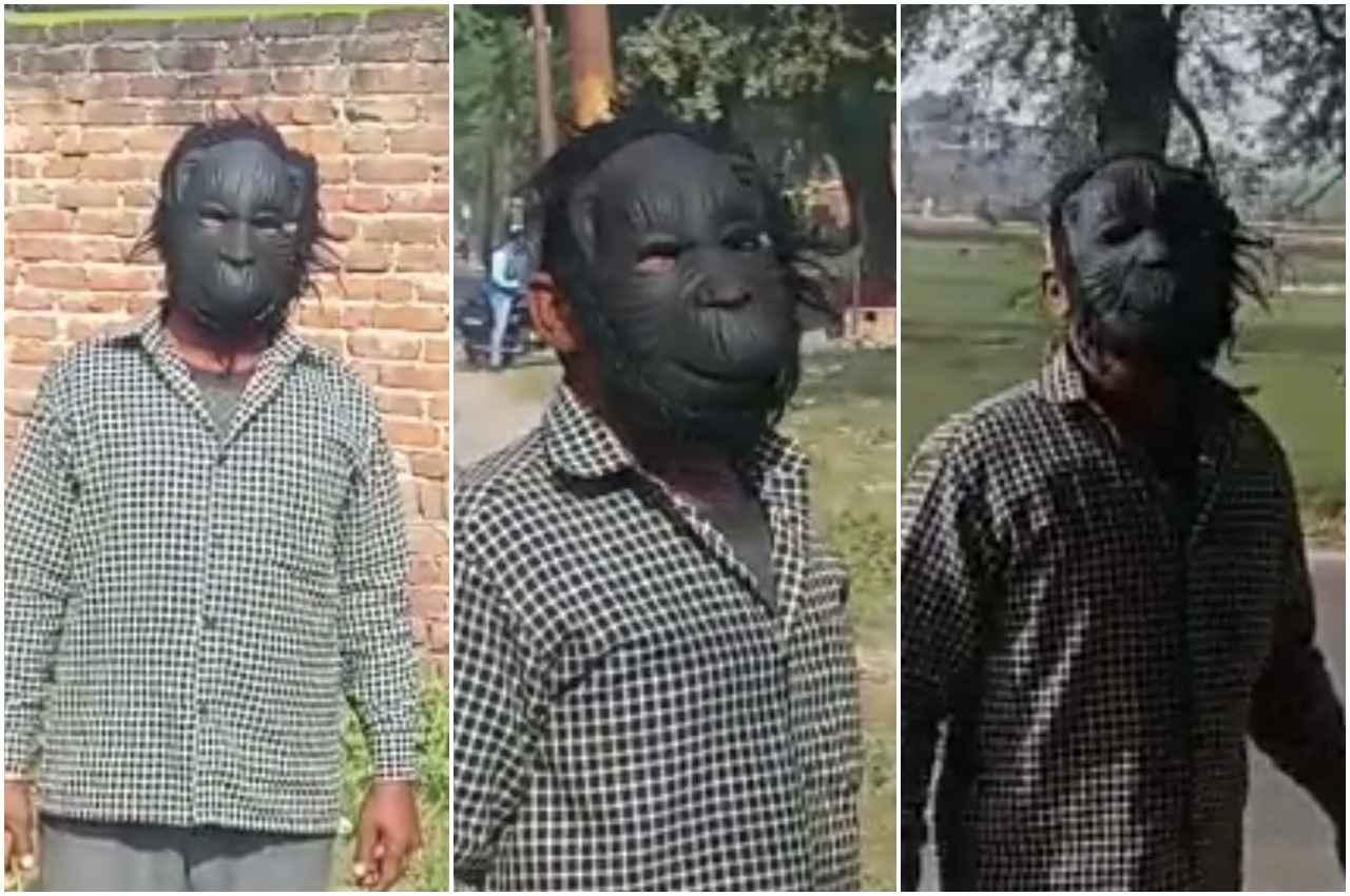 Viral Video: ऐसा क्या हुआ कि एक किसान बन गया 'लंगूर'? इलाके में दिनभर भगाता है बंदर, जानें पूरा मामला