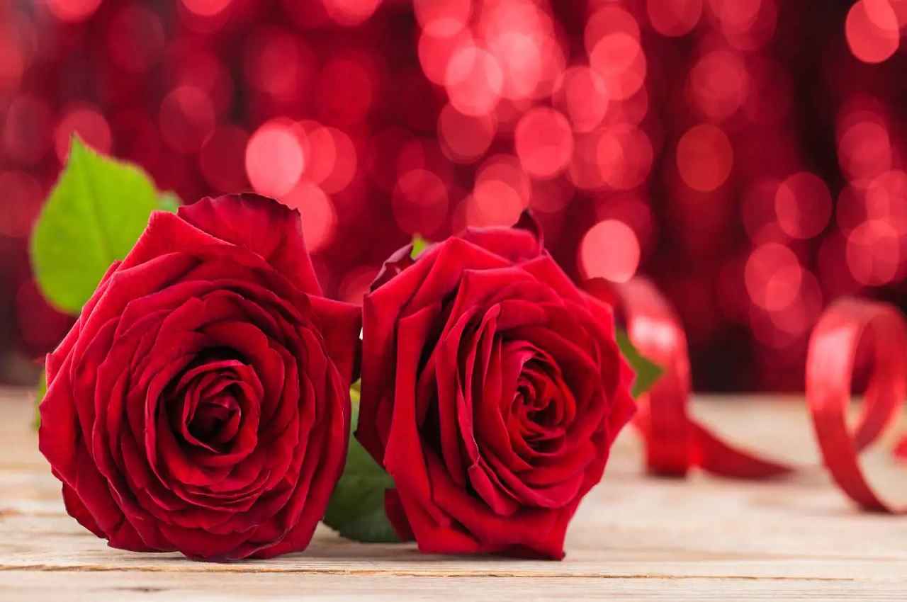How To Use Rose As Body Odour: बॉडी स्मेल को दूर कर देता है गुलाब का फूल, बस इस तरह से करें उपयोग