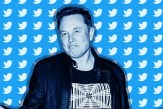 Twitter Blue Tick Subscription, Elon Musk