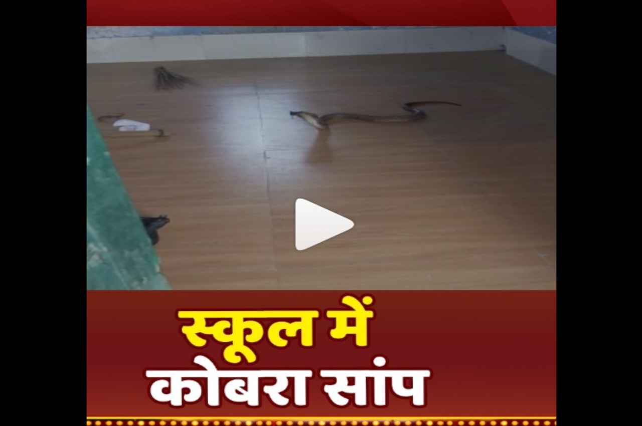 Viral Video (2)