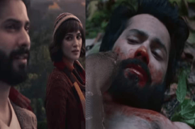 Bhediya Box Office Collection Day 11: कलेक्शन में आई भारी गिरावट