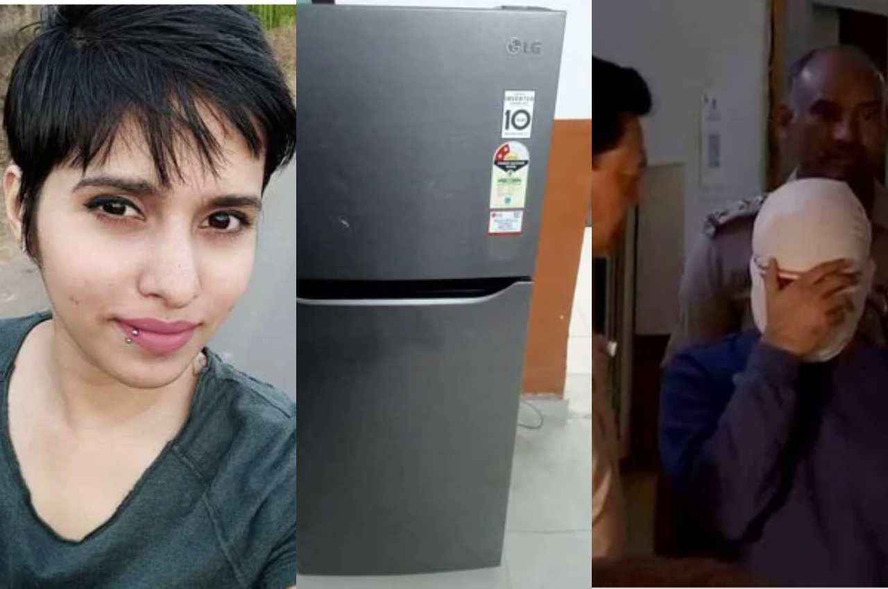 300 लीटर वाले फ्रिज में रखे थे शव के 35 टुकड़े, प्यार, मोहब्बत, धोखा... ऐसे खत्म हुई श्रद्धा की अधूरी कहानी