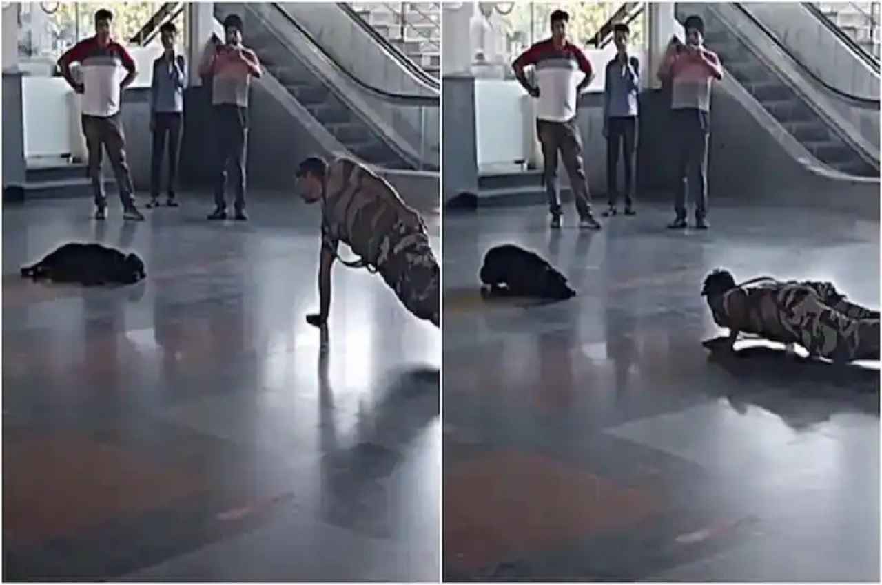 दिल्ली मेट्रो स्टेशन पर CISF के जवान और कुत्ते के बीच दिखी गजब की जुगलबंदी, वायरल हो रहा ये Video