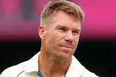 david warner