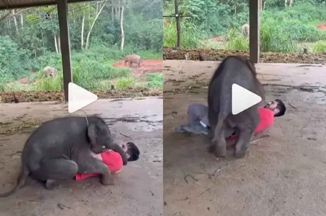 Viral Video: प्यार करने को उतारू हाथी ने आदमी का कर दिया ऐसा हाल, जान बचानी पड़ी भारी!