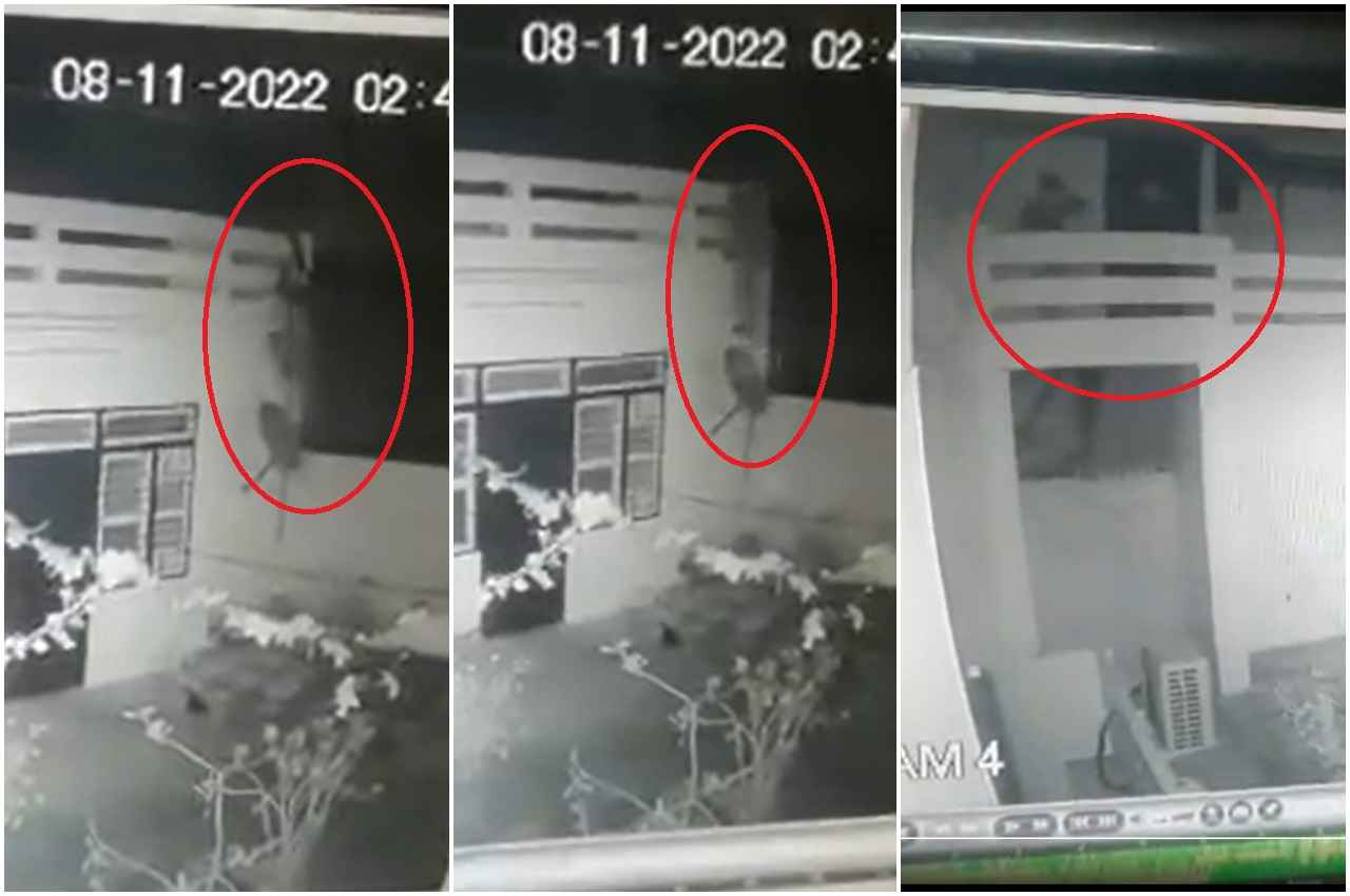 spiderman thieves news