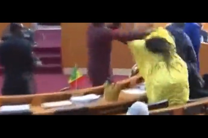सेनेगल संसद में मारपीट की फोटो
