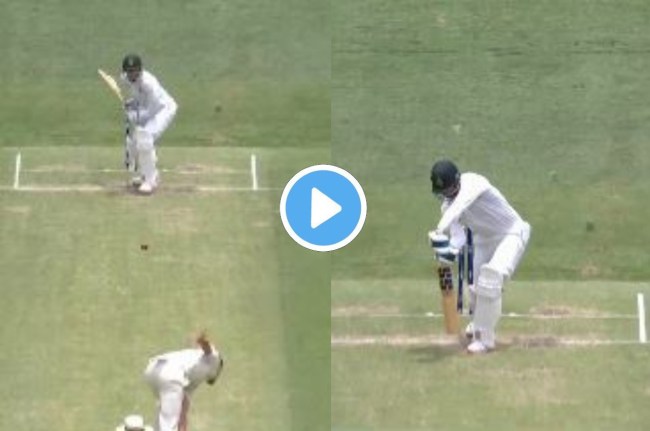 AUS vs SA 1st Test Mitchell Stark AUS vs SA 1st Test Mitchell Stark