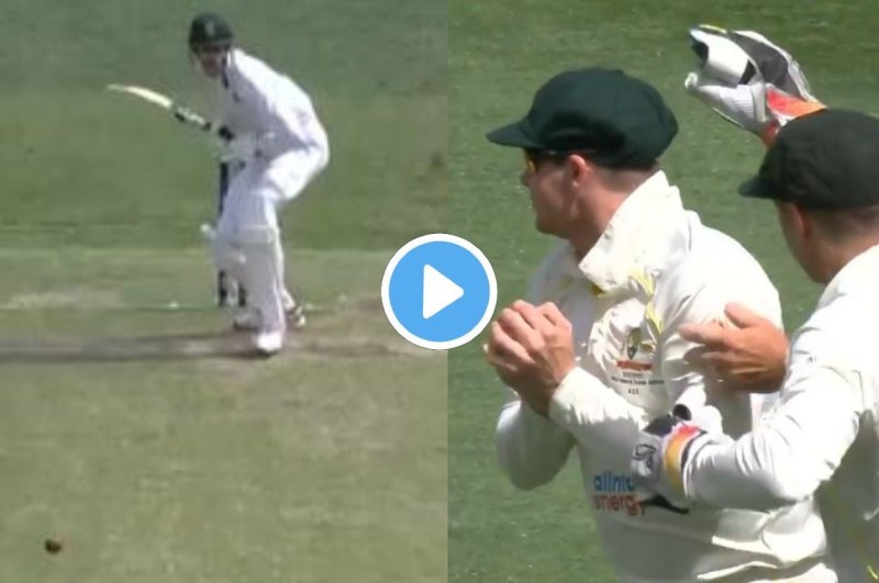 AUS vs SA 1st Test Wickets Video