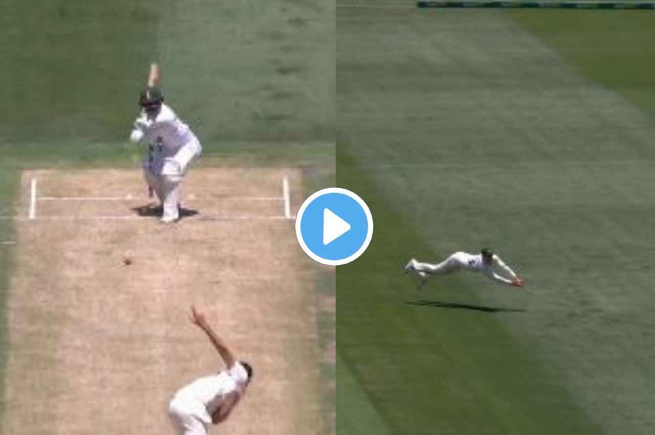 AUS vs SA: Stark की गेंद पर Marnus Labuschagne ने चीते की तरफ लगाई छलांग, लपक लिया खतरनाक कैच, देखें वीडियो