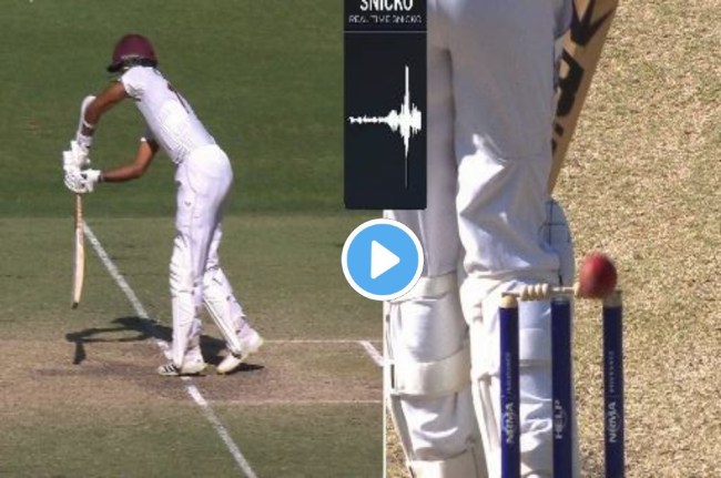 AUS vs WI Josh Hazelwood Craigg Braithwaite