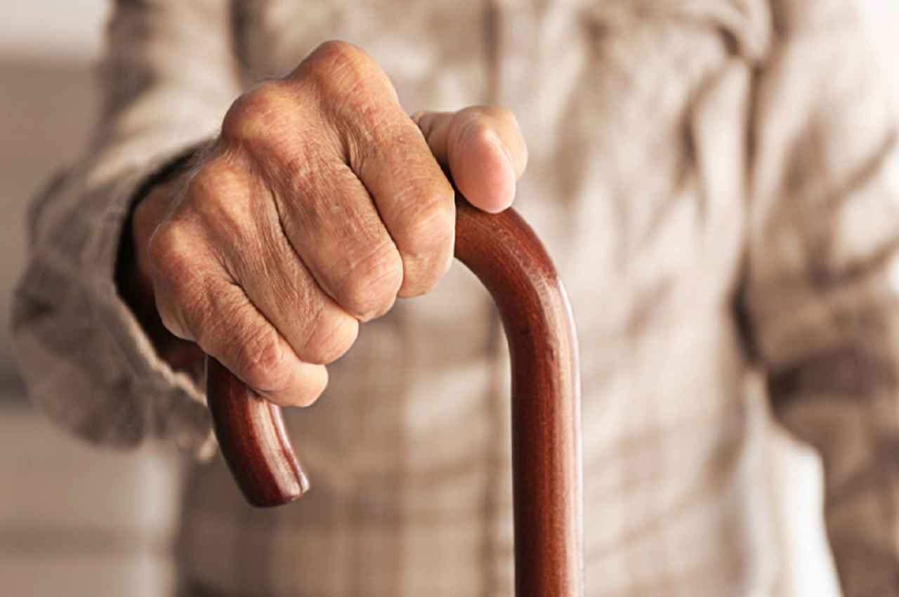Senior Citizen Good News: वरिष्ठ नागरिकों को अब WhatsApp पर ही मिल जाएगी पेंशन स्लिप, जानें- कैसे फ्री में उठाएं ये फायदा