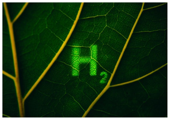 Green Hydrogen