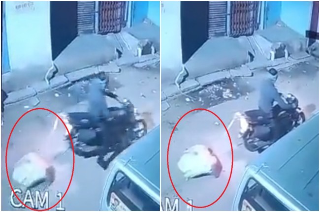 Hamirpur Viral Video News