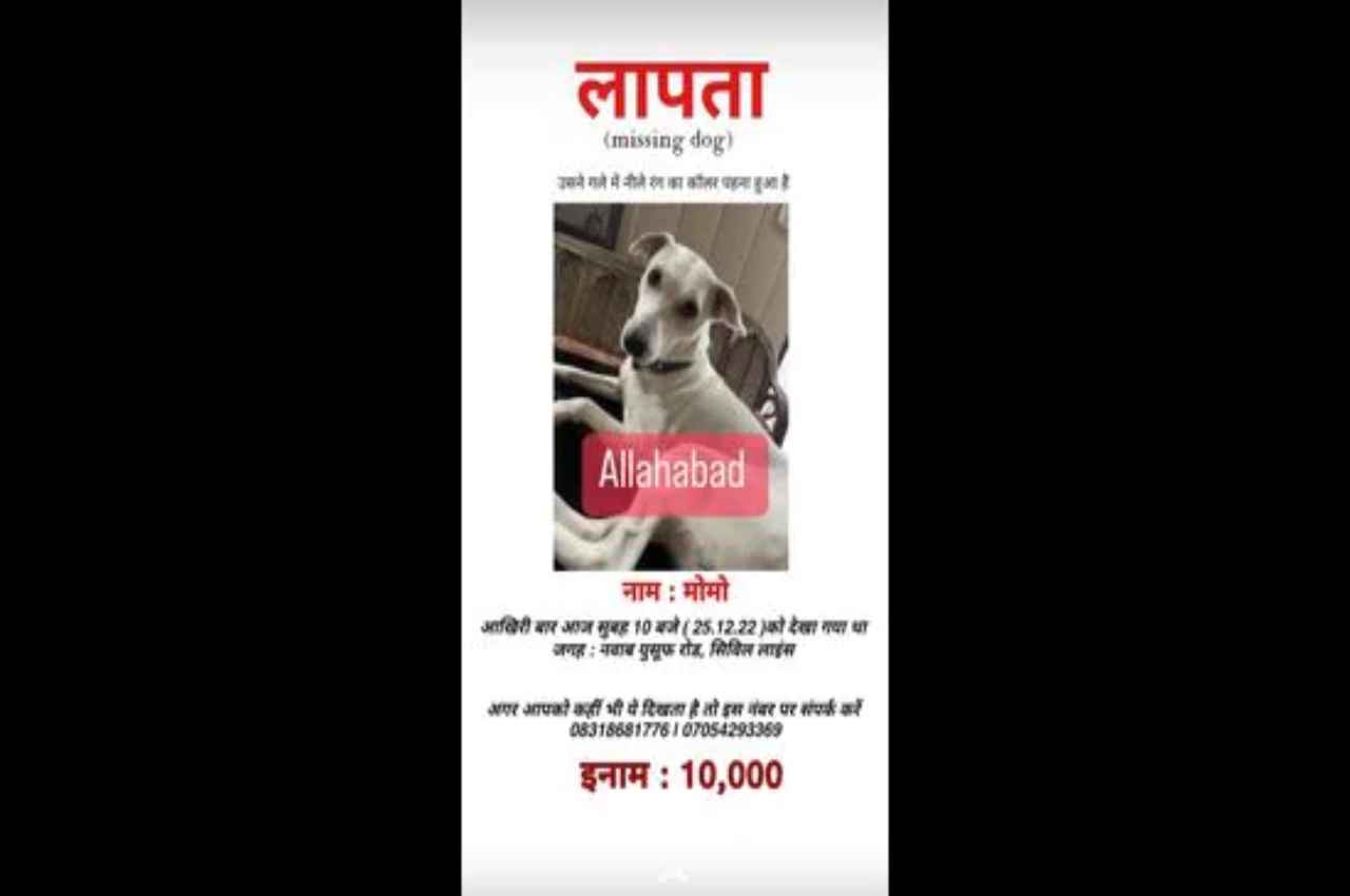 अनोखा पशु प्रेम; जो भी मेरे 'मोमो' का पता लगाएगा, उसे 10 हजार का नगद इनाम, जानें पूरा मामला